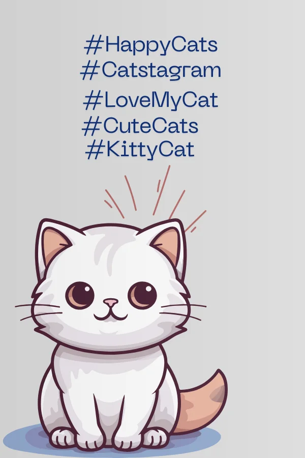 Cat Hashtags