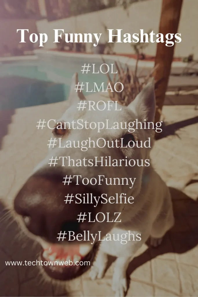 Funny hashtags