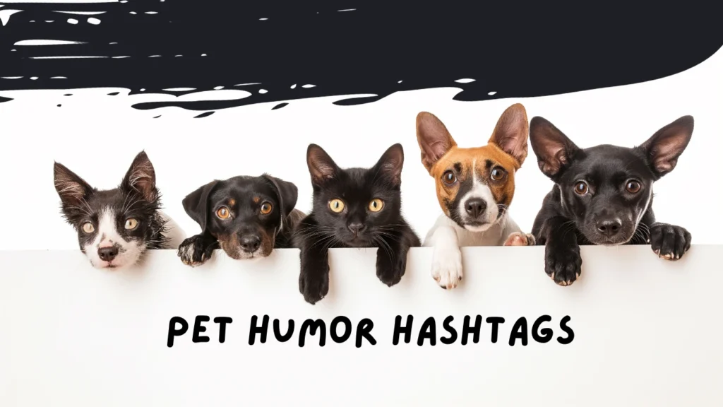 Pet Humor Hashtags